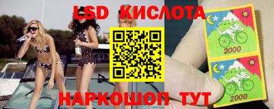 ПСИЛОЦИБИНОВЫЕ ГРИБЫ Кандалакша