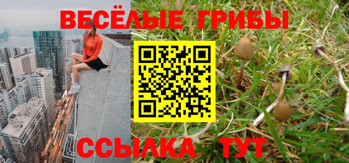 МЕФ Красноярск