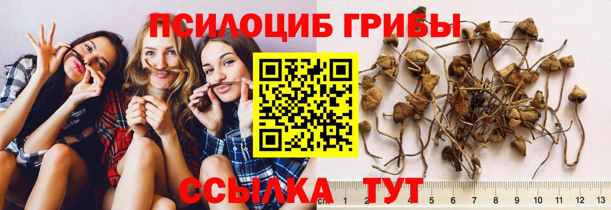 Красноярск  Псилоцибиновые грибы MAGIC MUSHROOMS  Галлюциногенные грибы прущие грибы  Вход с VPN 